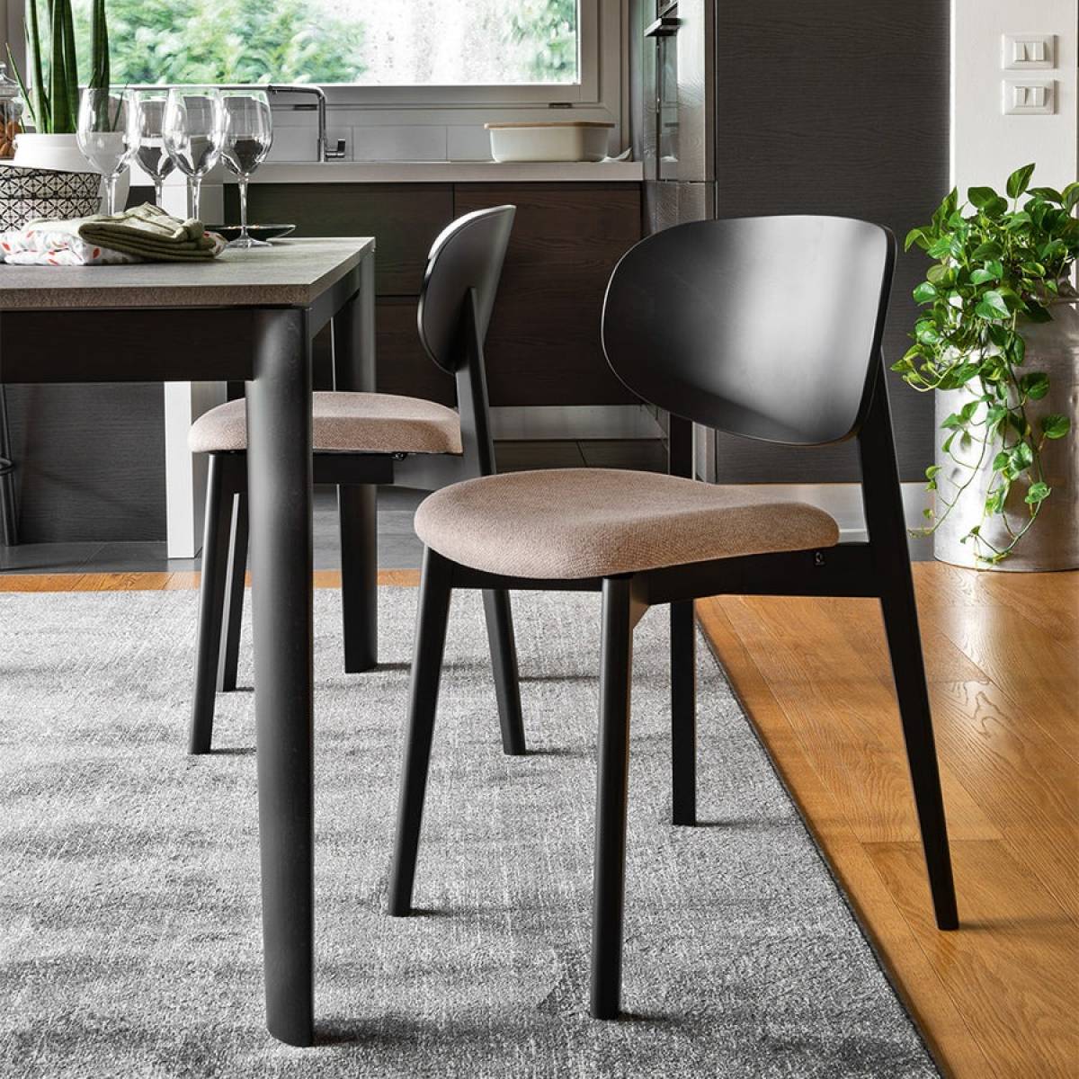 Chaise Eide Connubia